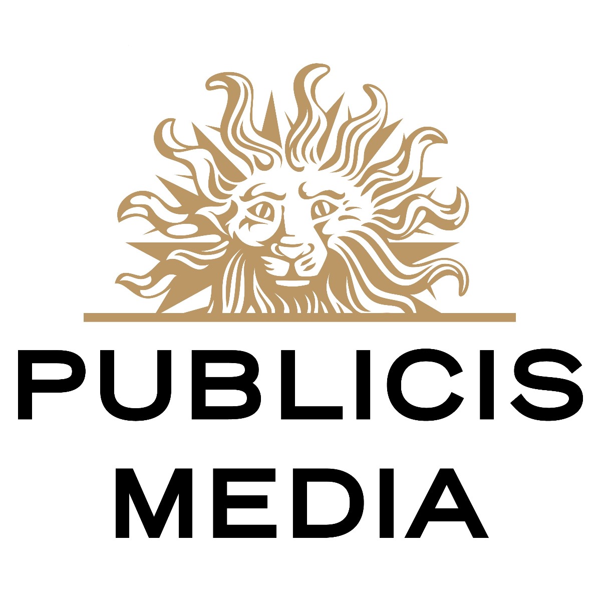 阳狮媒体 Publicis Media